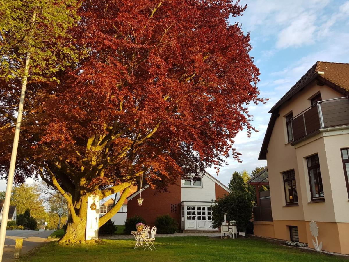 Ostsee Ferienwohnung Pelzerhaken Neustadt in Holstein Extérieur photo